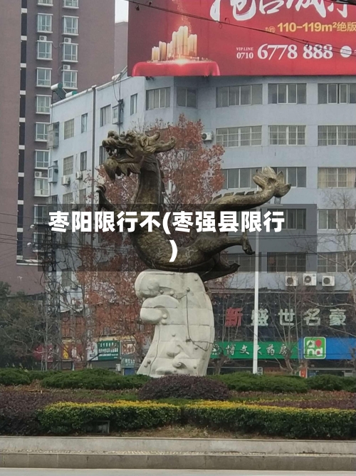 枣阳限行不(枣强县限行)