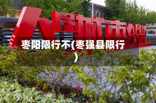 枣阳限行不(枣强县限行)-第3张图片