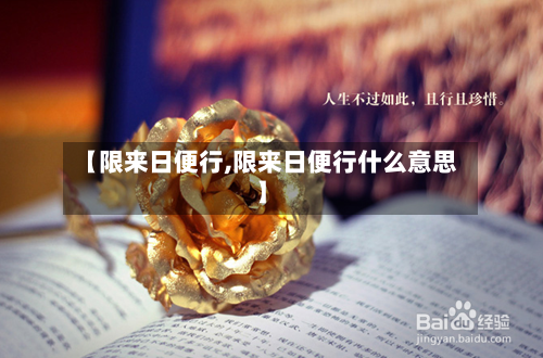 【限来日便行,限来日便行什么意思】-第3张图片