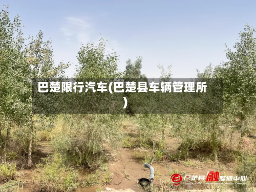 巴楚限行汽车(巴楚县车辆管理所)