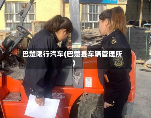 巴楚限行汽车(巴楚县车辆管理所)-第3张图片