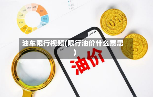 油车限行视频(限行油价什么意思)-第2张图片