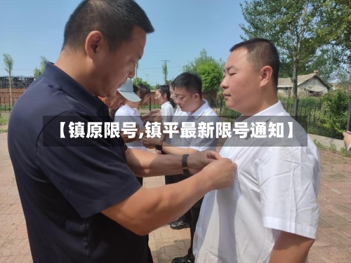 【镇原限号,镇平最新限号通知】-第3张图片