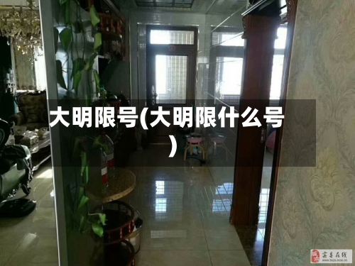 大明限号(大明限什么号)-第2张图片