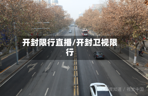 开封限行直播/开封卫视限行-第3张图片