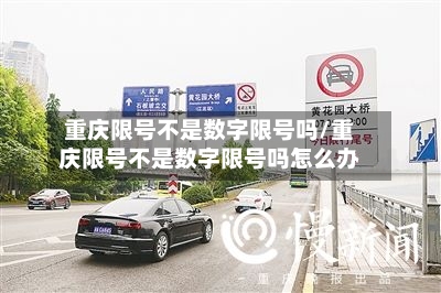 重庆限号不是数字限号吗/重庆限号不是数字限号吗怎么办-第2张图片