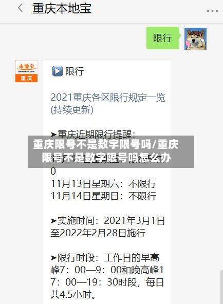 重庆限号不是数字限号吗/重庆限号不是数字限号吗怎么办