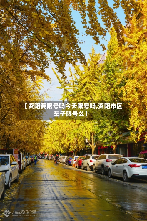 【资阳要限号吗今天限号吗,资阳市区车子限号么】