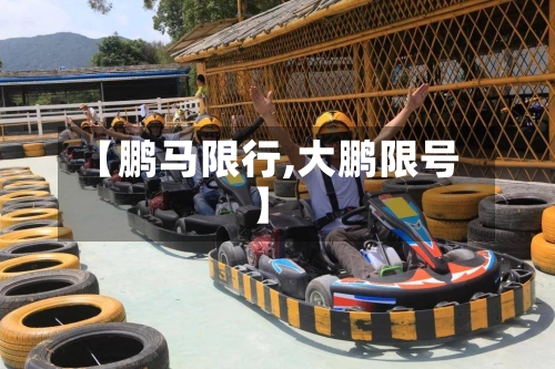 【鹏马限行,大鹏限号】