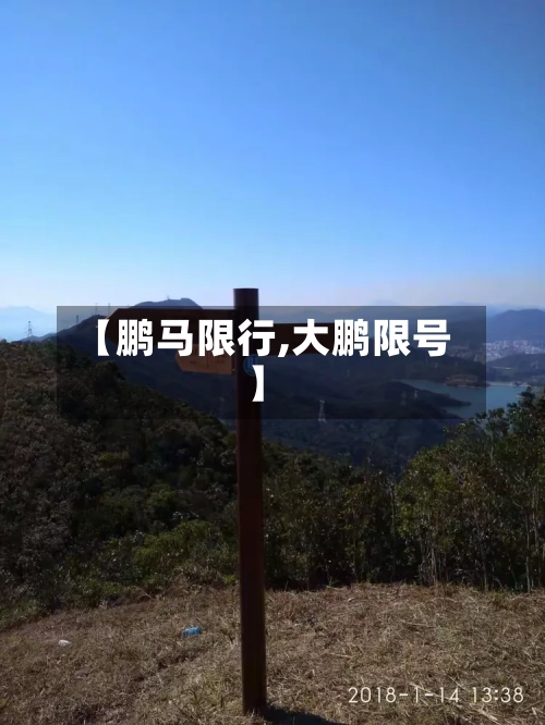 【鹏马限行,大鹏限号】-第2张图片