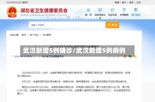 武汉新增5例确诊/武汉新增5例病例-第2张图片