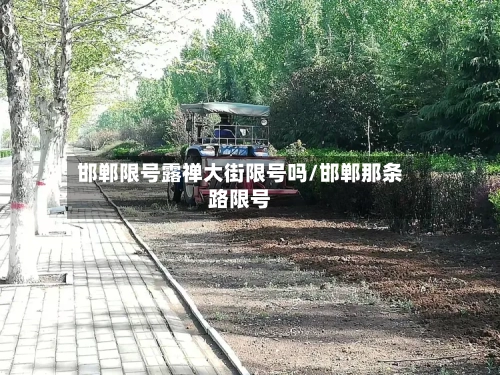 邯郸限号露禅大街限号吗/邯郸那条路限号