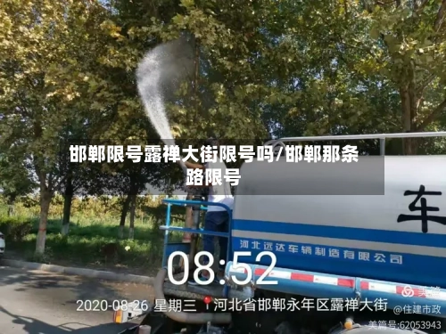 邯郸限号露禅大街限号吗/邯郸那条路限号-第2张图片