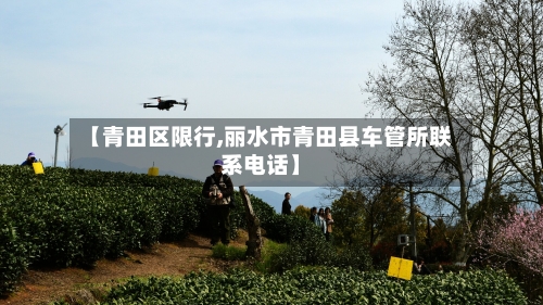 【青田区限行,丽水市青田县车管所联系电话】