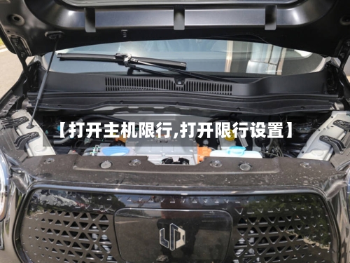 【打开主机限行,打开限行设置】