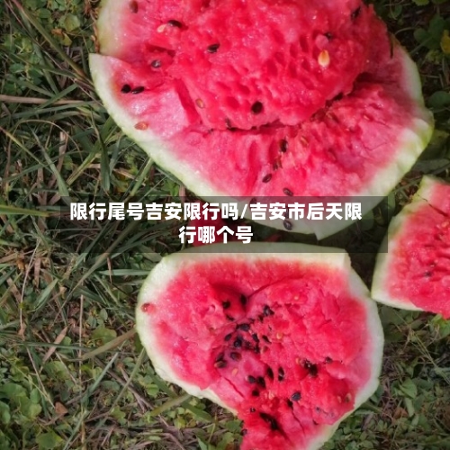 限行尾号吉安限行吗/吉安市后天限行哪个号-第2张图片