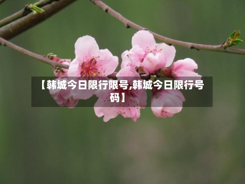 【韩城今日限行限号,韩城今日限行号码】