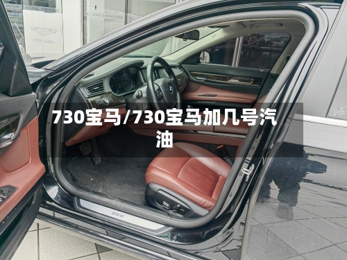 730宝马/730宝马加几号汽油-第2张图片