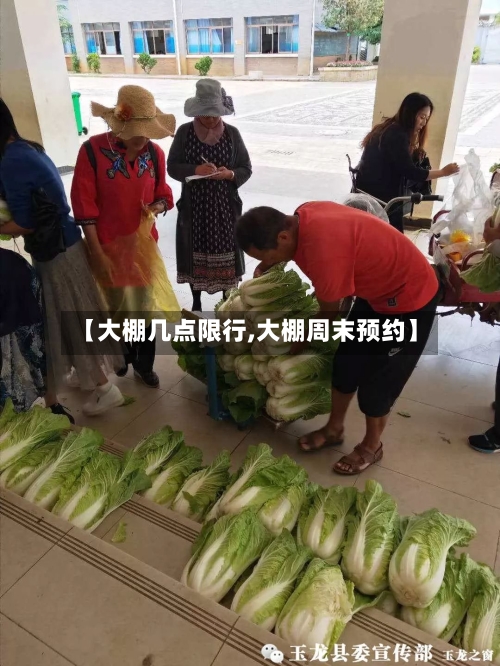 【大棚几点限行,大棚周末预约】-第2张图片