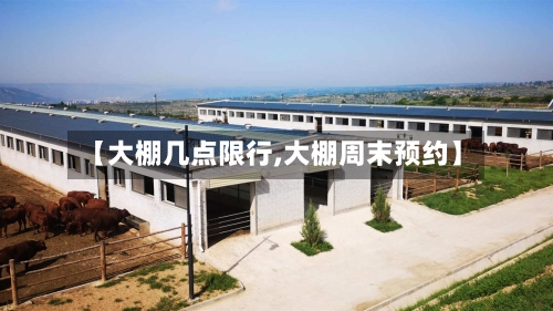 【大棚几点限行,大棚周末预约】