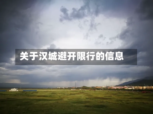 关于汉城避开限行的信息