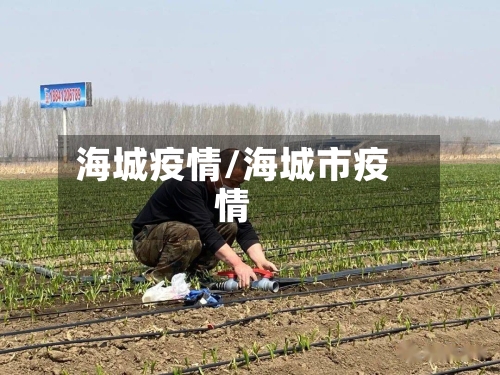 海城疫情/海城市疫情-第2张图片