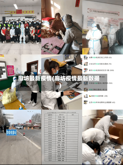 廊坊最新疫情(廊坊疫情最新数据)-第2张图片