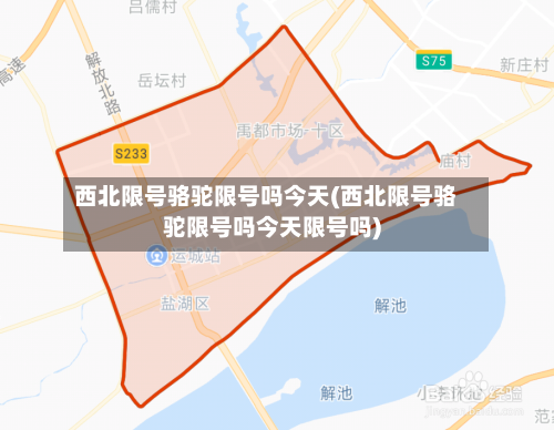 西北限号骆驼限号吗今天(西北限号骆驼限号吗今天限号吗)