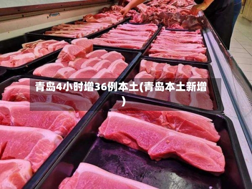 青岛4小时增36例本土(青岛本土新增)