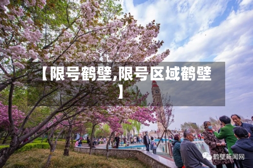 【限号鹤壁,限号区域鹤壁】-第3张图片