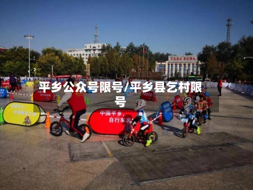 平乡公众号限号/平乡县乞村限号-第3张图片