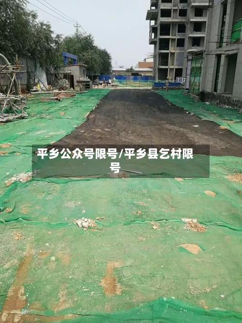 平乡公众号限号/平乡县乞村限号