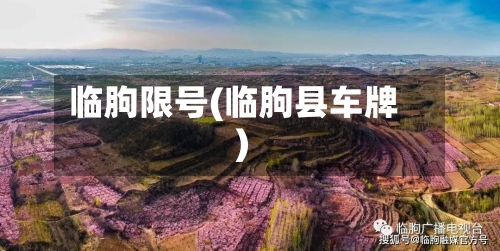 临朐限号(临朐县车牌)-第3张图片