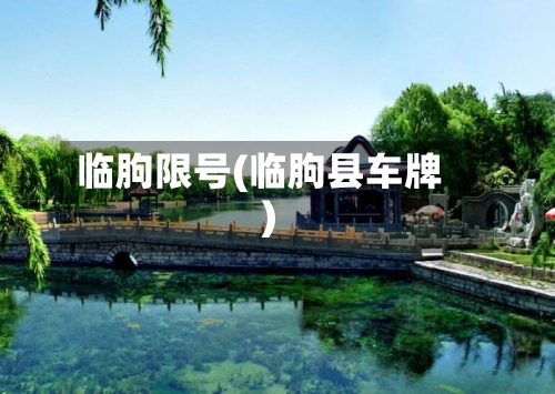 临朐限号(临朐县车牌)-第2张图片