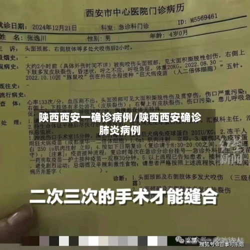 陕西西安一确诊病例/陕西西安确诊肺炎病例-第2张图片