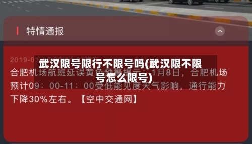武汉限号限行不限号吗(武汉限不限号怎么限号)-第2张图片
