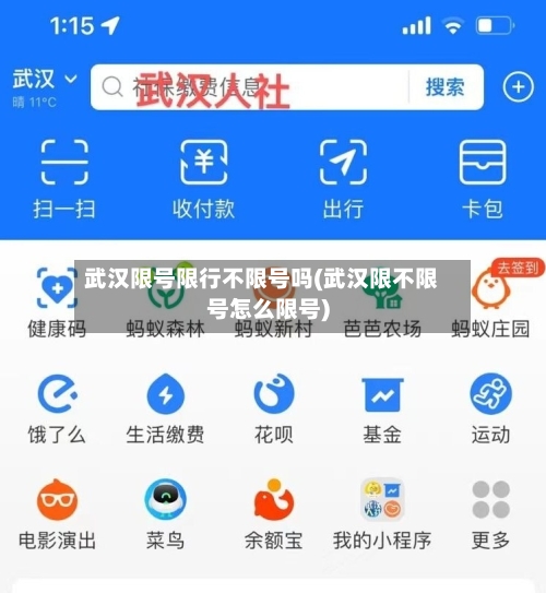 武汉限号限行不限号吗(武汉限不限号怎么限号)