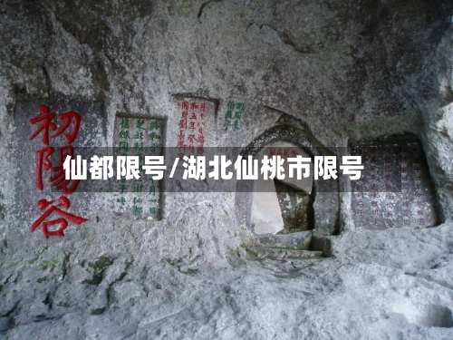仙都限号/湖北仙桃市限号