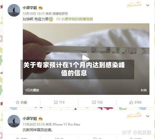 关于专家预计在1个月内达到感染峰值的信息-第2张图片