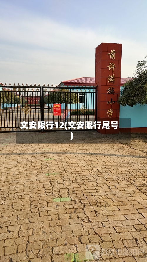 文安限行12(文安限行尾号)-第2张图片