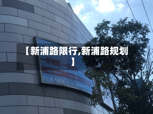 【新浦路限行,新浦路规划】-第3张图片