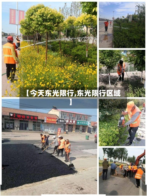 【今天东光限行,东光限行区域】-第2张图片