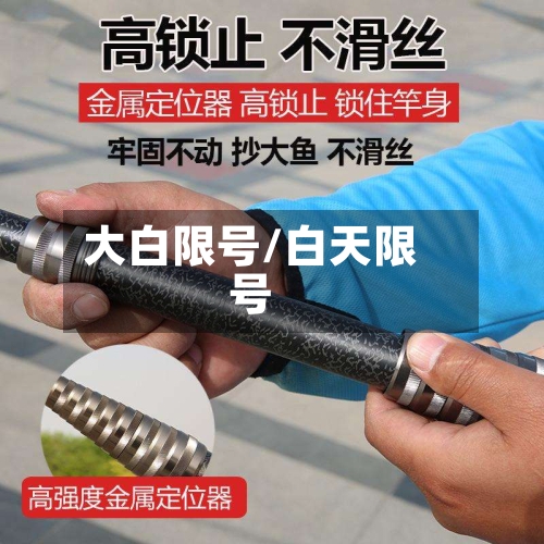 大白限号/白天限号