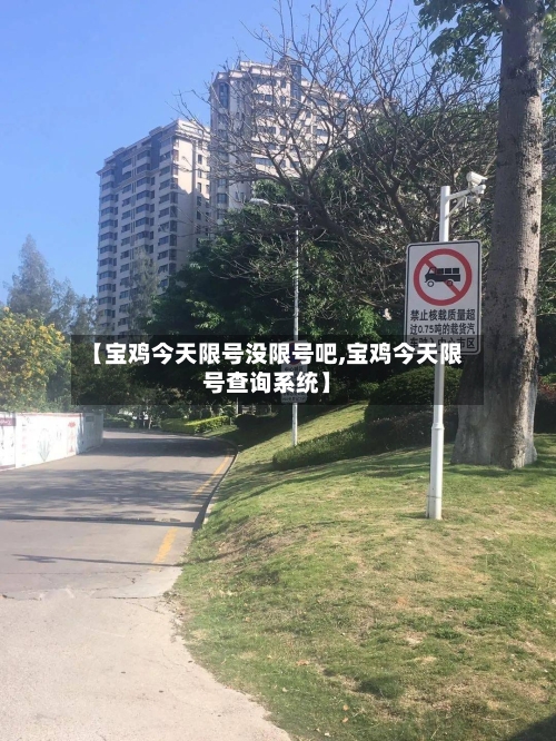 【宝鸡今天限号没限号吧,宝鸡今天限号查询系统】-第3张图片