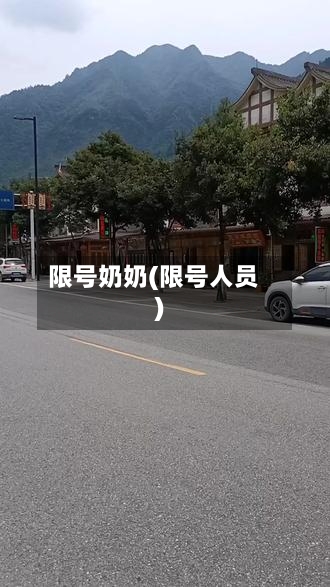 限号奶奶(限号人员)-第2张图片