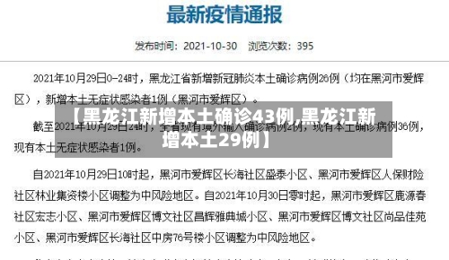 【黑龙江新增本土确诊43例,黑龙江新增本土29例】-第3张图片