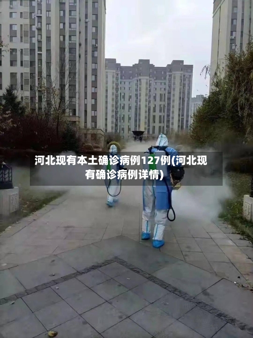 河北现有本土确诊病例127例(河北现有确诊病例详情)-第2张图片