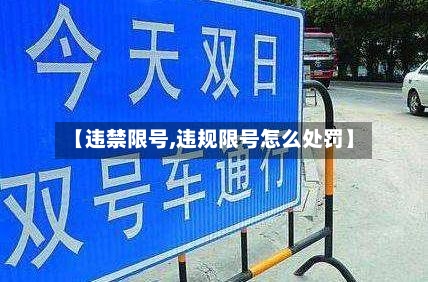 【违禁限号,违规限号怎么处罚】