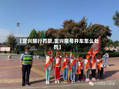 【定兴限行罚款,定兴限号开车怎么处罚】-第2张图片
