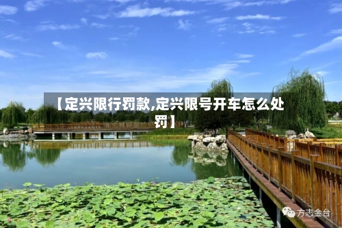 【定兴限行罚款,定兴限号开车怎么处罚】